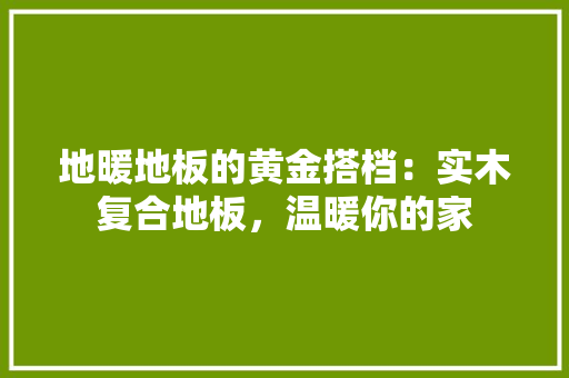 地暖地板的黄金搭档：实木复合地板，温暖你的家 现代风格装饰