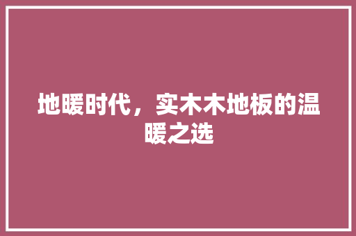 地暖时代，实木木地板的温暖之选 现代风格装饰