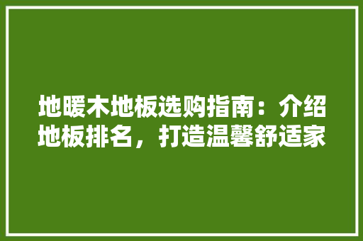 地暖木地板选购指南：介绍地板排名，打造温馨舒适家居环境 现代风格装饰
