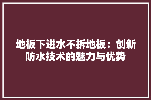 地板下进水不拆地板：创新防水技术的魅力与优势 现代风格装饰