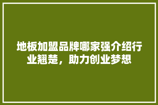 地板加盟品牌哪家强介绍行业翘楚，助力创业梦想 现代风格装饰