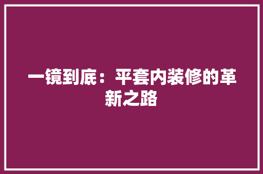 一镜到底：平套内装修的革新之路