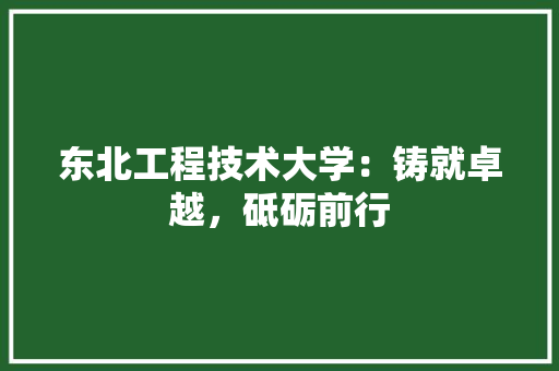 东北工程技术大学：铸就卓越，砥砺前行 家居装修