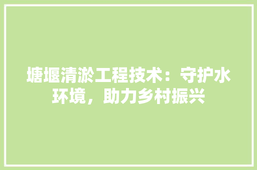 塘堰清淤工程技术：守护水环境，助力乡村振兴 现代风格装饰