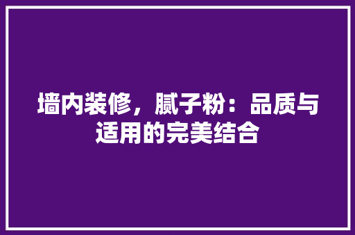 墙内装修，腻子粉：品质与适用的完美结合 现代风格装饰