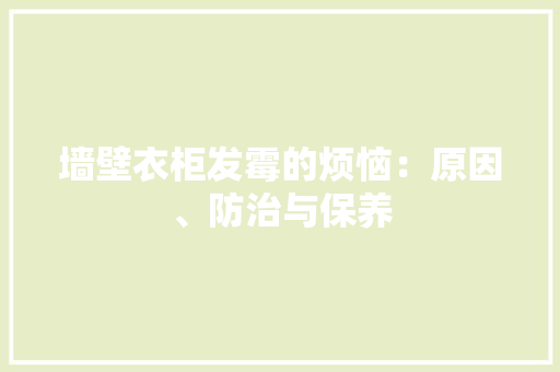 墙壁衣柜发霉的烦恼：原因、防治与保养 现代风格装饰