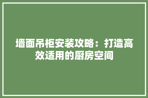 墙面吊柜安装攻略：打造高效适用的厨房空间 现代风格装饰
