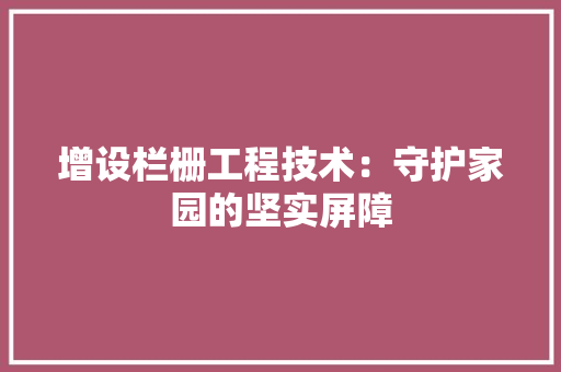 增设栏栅工程技术：守护家园的坚实屏障 现代风格装饰