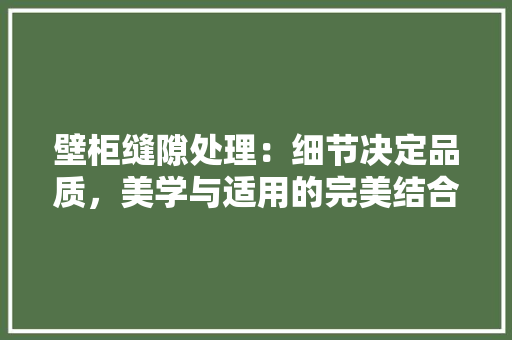 壁柜缝隙处理：细节决定品质，美学与适用的完美结合 现代风格装饰