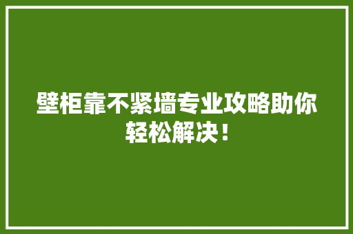 壁柜靠不紧墙专业攻略助你轻松解决！ 现代风格装饰