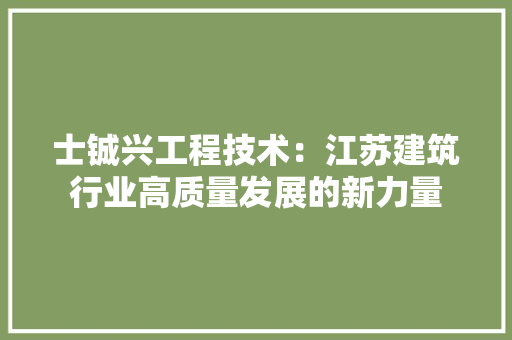 士铖兴工程技术：江苏建筑行业高质量发展的新力量 现代风格装饰