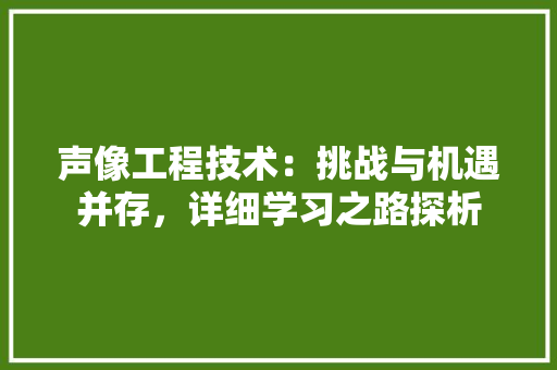 声像工程技术：挑战与机遇并存，详细学习之路探析 现代风格装饰