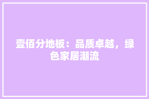 壹佰分地板：品质卓越，绿色家居潮流 现代风格装饰