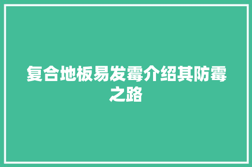 复合地板易发霉介绍其防霉之路 现代风格装饰