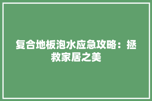 复合地板泡水应急攻略：拯救家居之美 现代风格装饰