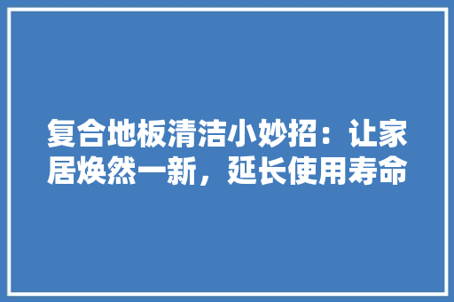 复合地板清洁小妙招：让家居焕然一新，延长使用寿命 现代风格装饰