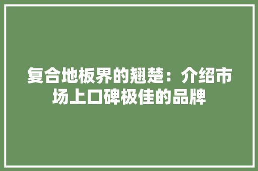 复合地板界的翘楚：介绍市场上口碑极佳的品牌 现代风格装饰