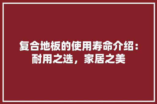 复合地板的使用寿命介绍：耐用之选，家居之美 现代风格装饰