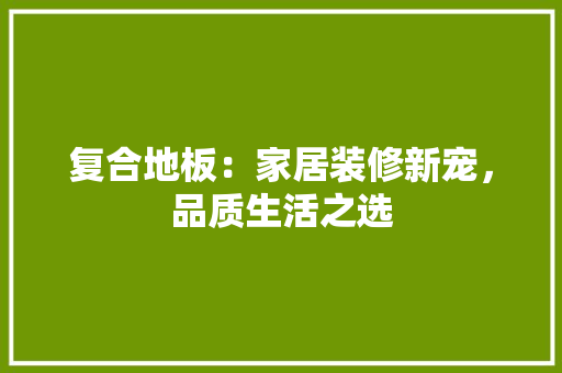 复合地板：家居装修新宠，品质生活之选 现代风格装饰