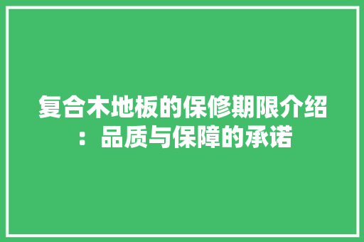 复合木地板的保修期限介绍：品质与保障的承诺 现代风格装饰