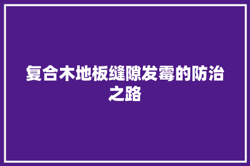 复合木地板缝隙发霉的防治之路 现代风格装饰