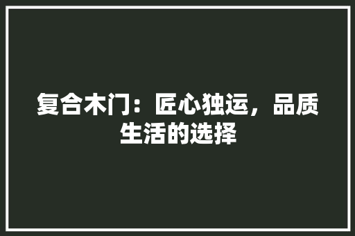 复合木门：匠心独运，品质生活的选择 现代风格装饰