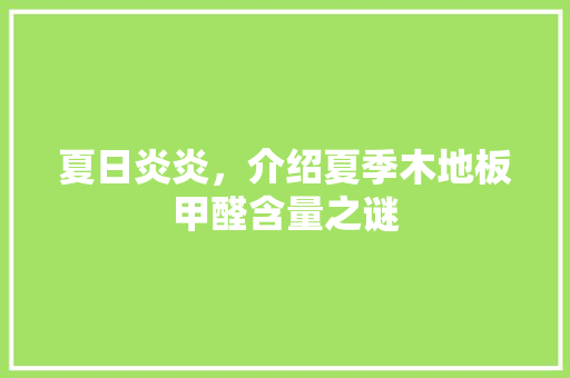 夏日炎炎，介绍夏季木地板甲醛含量之谜 现代风格装饰