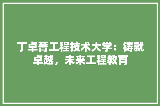 丁卓菁工程技术大学：铸就卓越，未来工程教育