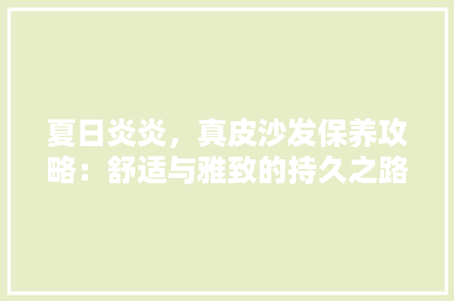 夏日炎炎，真皮沙发保养攻略：舒适与雅致的持久之路 现代风格装饰