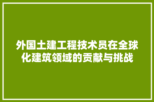 外国土建工程技术员在全球化建筑领域的贡献与挑战 现代风格装饰