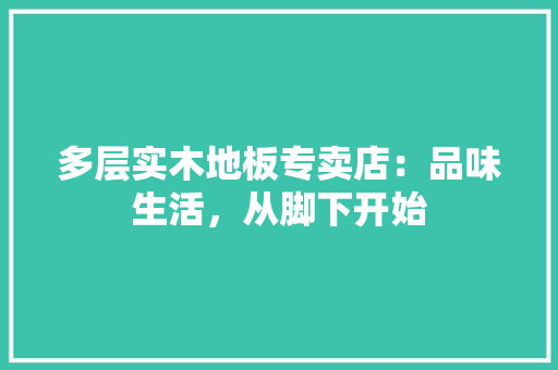 多层实木地板专卖店：品味生活，从脚下开始 现代风格装饰