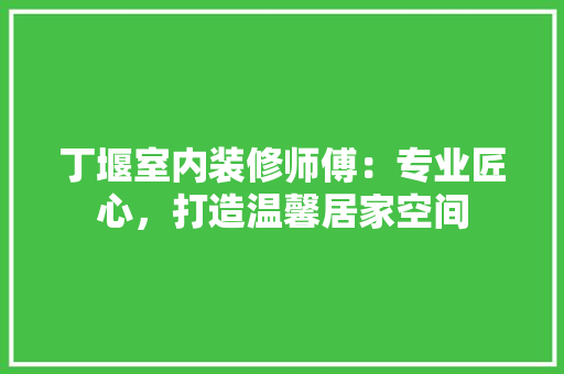 丁堰室内装修师傅：专业匠心，打造温馨居家空间