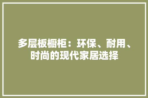 多层板橱柜：环保、耐用、时尚的现代家居选择 现代风格装饰