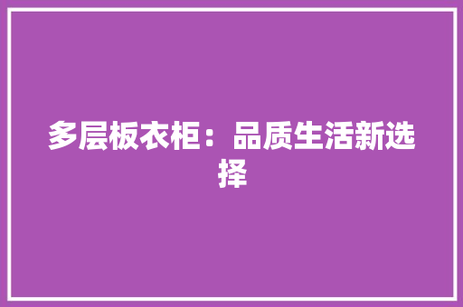 多层板衣柜：品质生活新选择 现代风格装饰