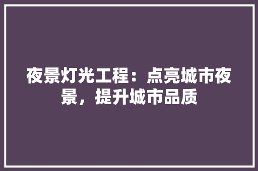 夜景灯光工程：点亮城市夜景，提升城市品质 现代风格装饰