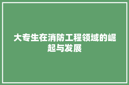 大专生在消防工程领域的崛起与发展 现代风格装饰