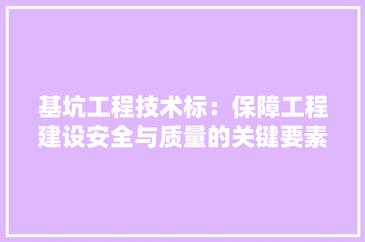基坑工程技术标：保障工程建设安全与质量的关键要素 现代风格装饰