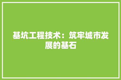 基坑工程技术：筑牢城市发展的基石 现代风格装饰