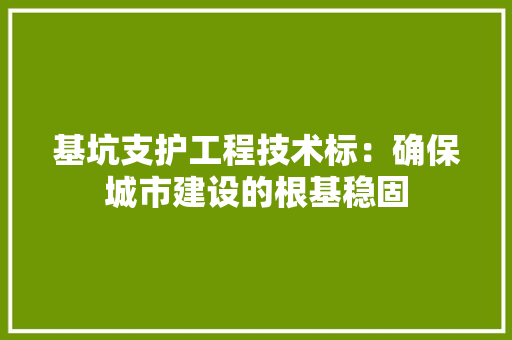 基坑支护工程技术标：确保城市建设的根基稳固 现代风格装饰