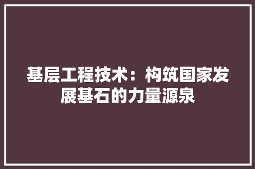 基层工程技术：构筑国家发展基石的力量源泉 现代风格装饰