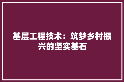基层工程技术：筑梦乡村振兴的坚实基石 现代风格装饰