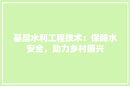 基层水利工程技术：保障水安全，助力乡村振兴 现代风格装饰