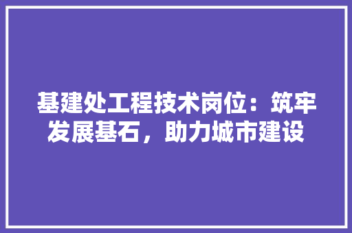 基建处工程技术岗位：筑牢发展基石，助力城市建设 现代风格装饰