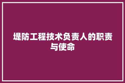 堤防工程技术负责人的职责与使命 现代风格装饰