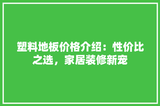 塑料地板价格介绍：性价比之选，家居装修新宠 现代风格装饰