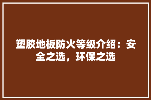 塑胶地板防火等级介绍：安全之选，环保之选 现代风格装饰