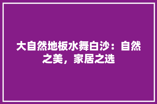大自然地板水舞白沙：自然之美，家居之选 现代风格装饰