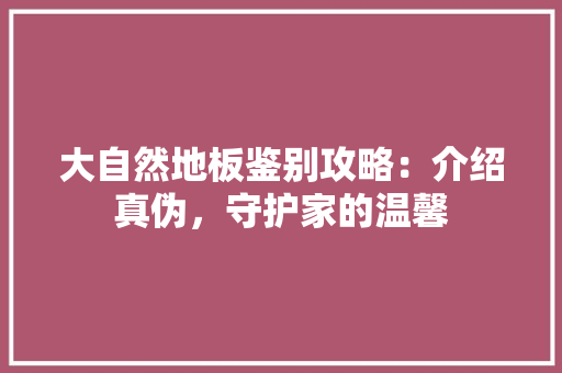 大自然地板鉴别攻略：介绍真伪，守护家的温馨 现代风格装饰