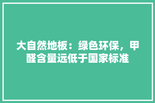 大自然地板：绿色环保，甲醛含量远低于国家标准 现代风格装饰