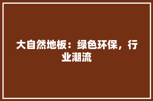 大自然地板：绿色环保，行业潮流 现代风格装饰